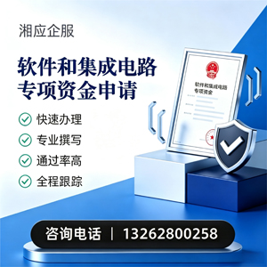 怀化软件和集成电路专项资金申报服务