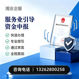 怀化服务业引导资金申报服务
