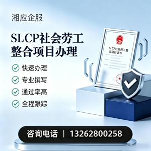 怀化SLCP社会劳工整合项目申报服务