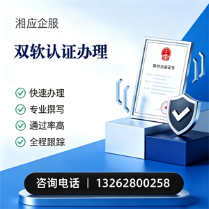 怀化双软认证申报服务