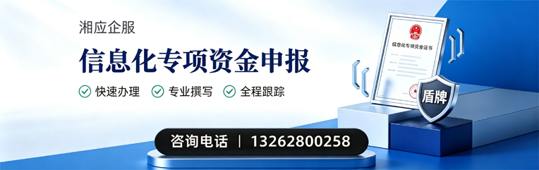 怀化信息化专项资金申报服务