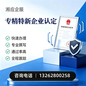 怀化专精特新企业申报服务