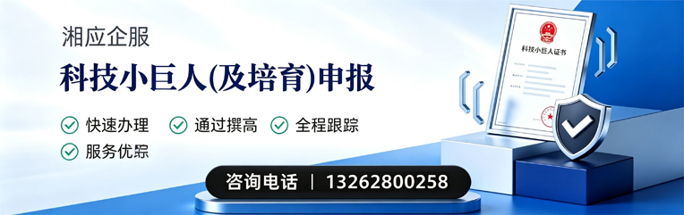 怀化科技小巨人及培育企业申报服务