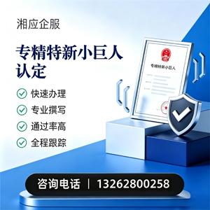 怀化专精特新小巨人申报服务