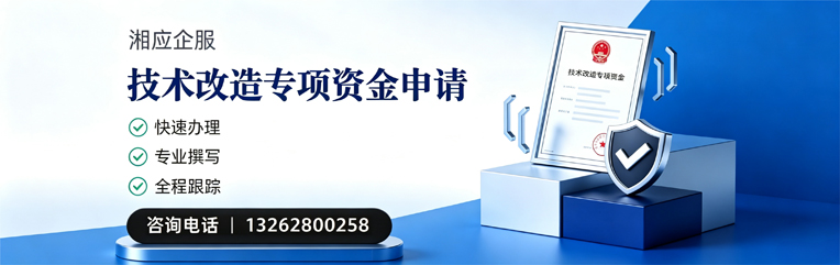 怀化技术改造专项资金申报服务