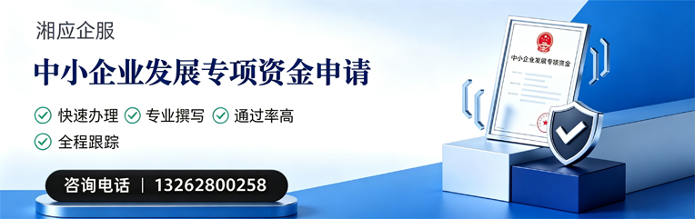 怀化中小企业发展专项资金申报服务