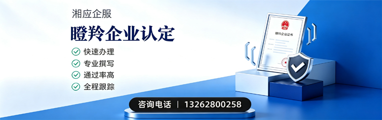 怀化瞪羚企业认定申报服务