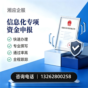 怀化信息化专项资金申报服务