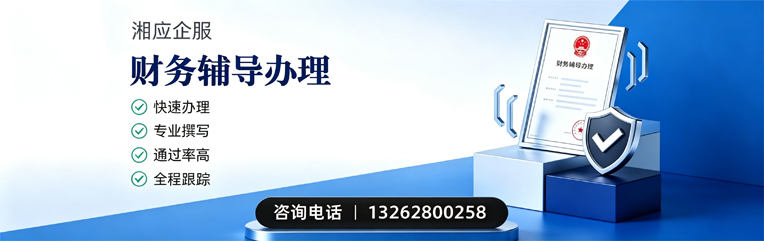 怀化财务辅导申请服务