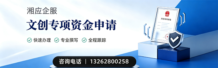 怀化文创专项资金申报服务