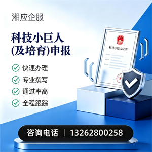 怀化科技小巨人及培育企业申报服务