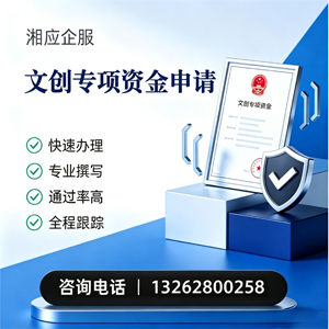怀化文创专项资金申报服务
