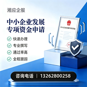 怀化中小企业发展专项资金申报服务