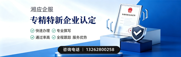 怀化专精特新企业申报服务