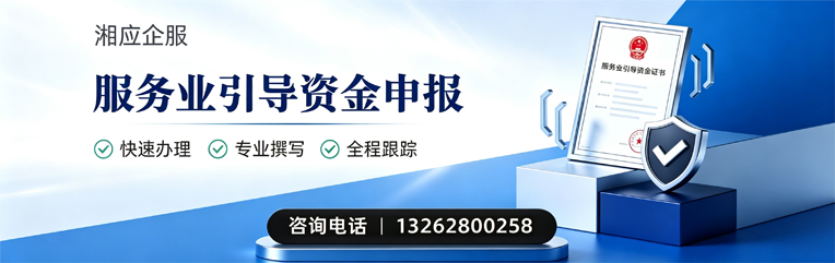 怀化服务业引导资金申报服务