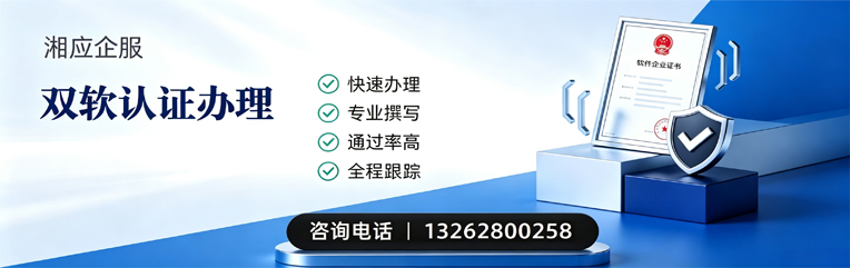 怀化双软认证申报服务