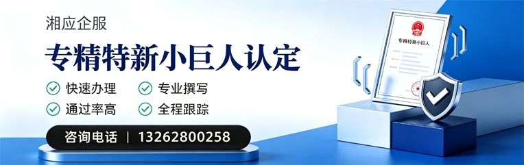 怀化专精特新小巨人申报服务